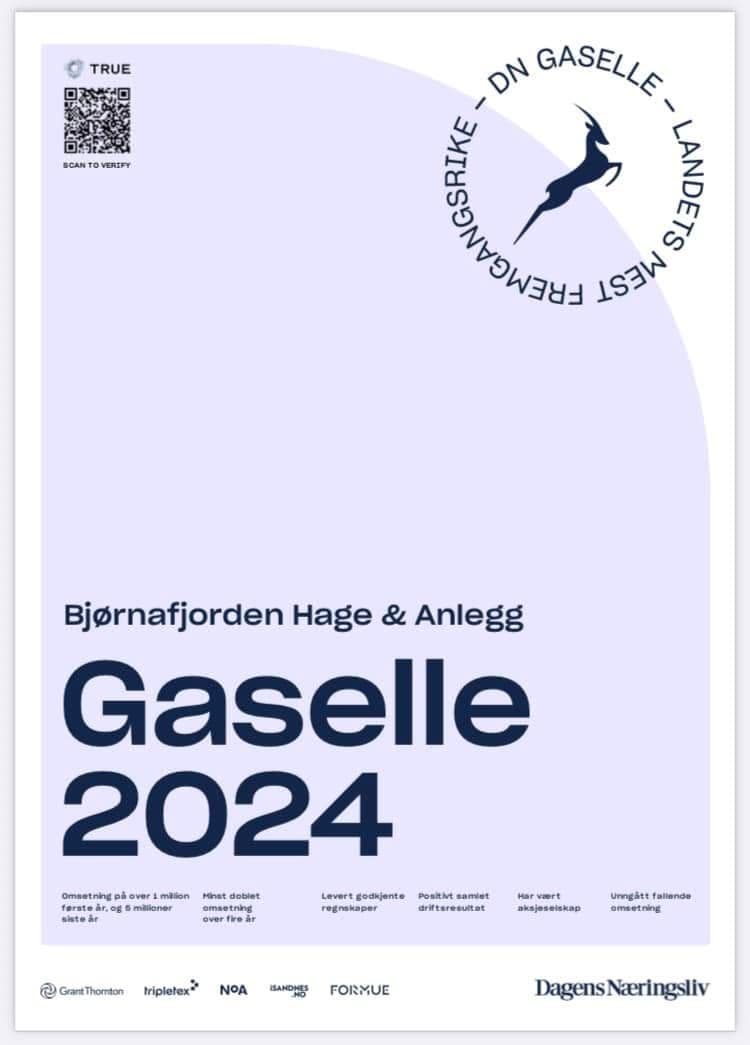 Diplom for Gasellebedrift 2024 fra Dagens Næringsliv